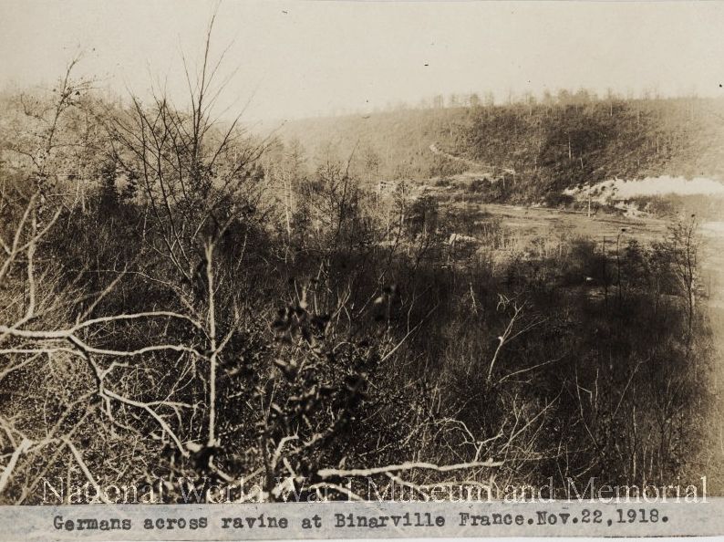 Agony of the Lost Battalion (Fal 18,Vol:63 Issue:3)